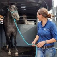 Countryside Large Animal Vet ico