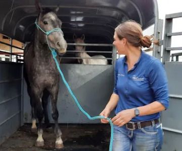 Countryside Large Animal Vet