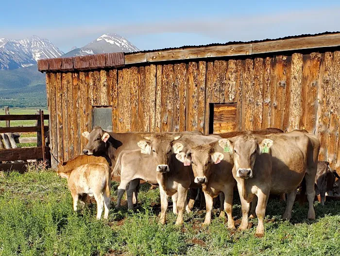 Countryside Large Animal Vet 7