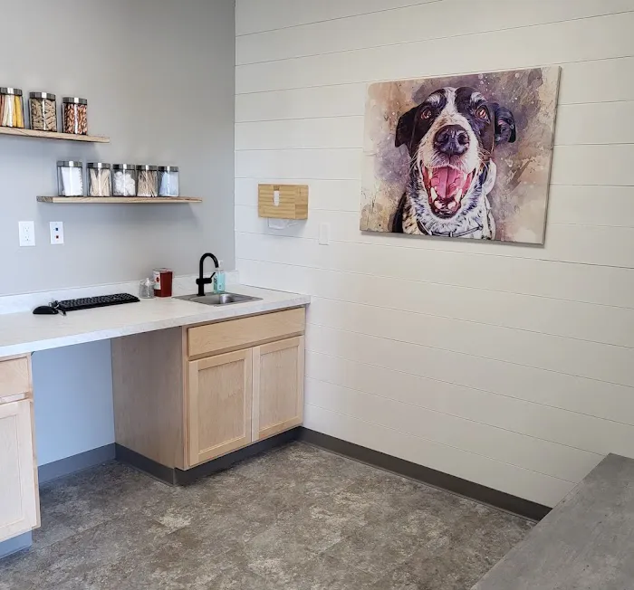 Twin Peaks Veterinary Dental & Surgery 1