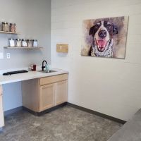 Twin Peaks Veterinary Dental & Surgery ico