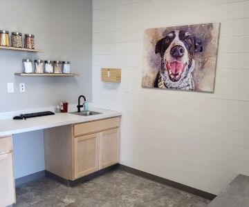 Twin Peaks Veterinary Dental & Surgery