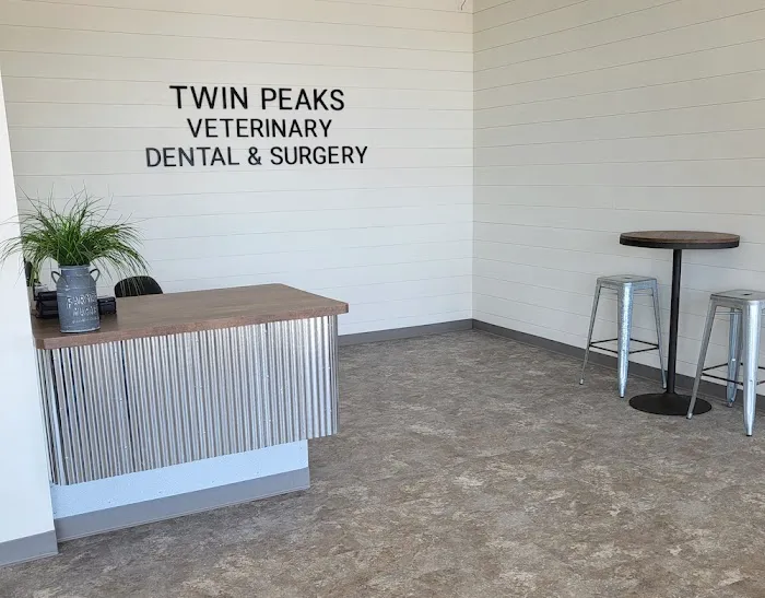 Twin Peaks Veterinary Dental & Surgery 5