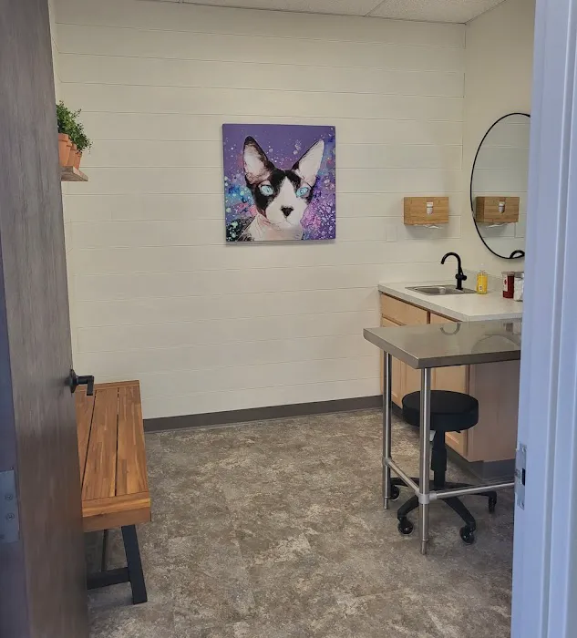 Twin Peaks Veterinary Dental & Surgery 10