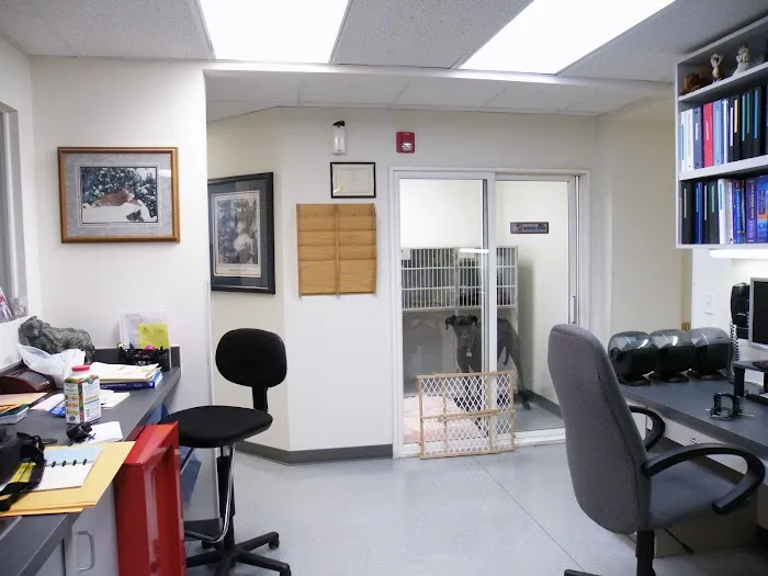 The Downing Center for Animal Pain Management 6