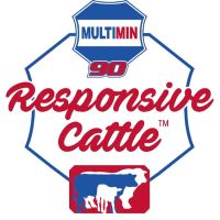 MULTIMIN USA ico