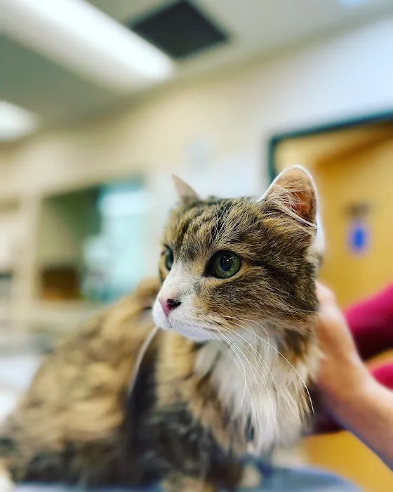 Coyote Ridge Veterinary Clinic 1