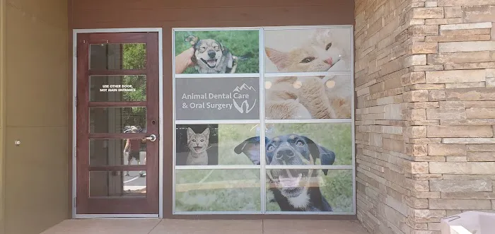 Animal Dental Care & Oral Surgery 8