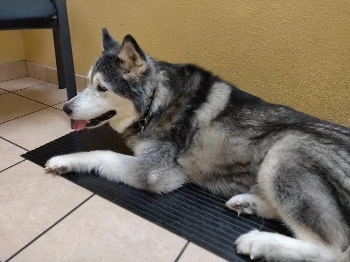 Paws of the Rockies Animal Hospital 1