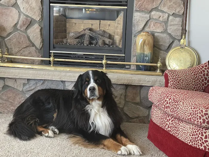 Valley View Animal Hospital 5