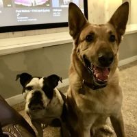 Platte Valley Veterinary ico