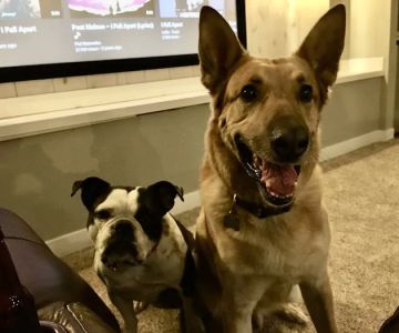 Platte Valley Veterinary