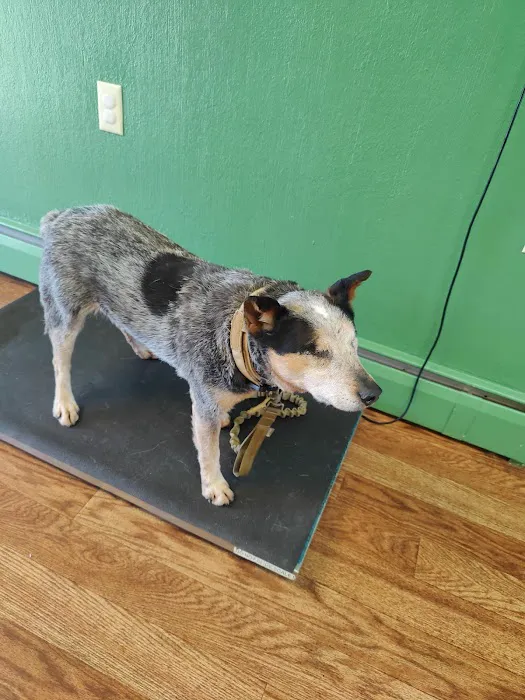 Platte Valley Veterinary 2