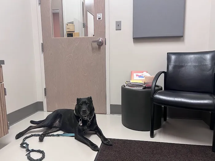Colorado Canine Orthopedics & Rehab 5
