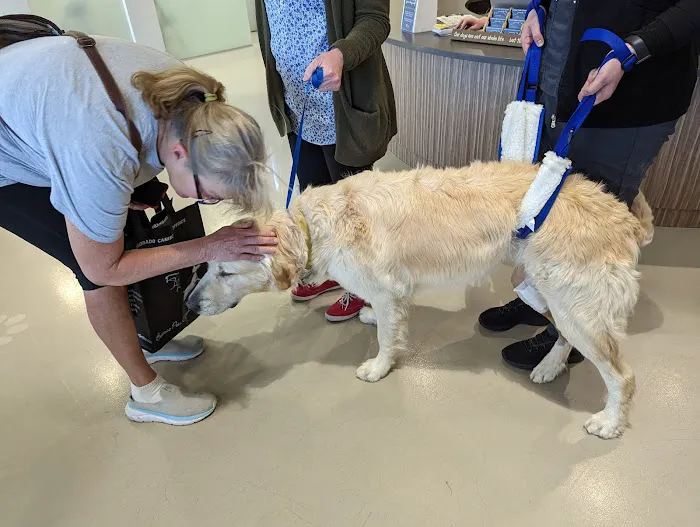 Colorado Canine Orthopedics & Rehab 9