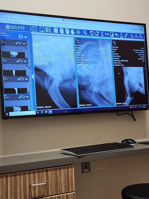 Colorado Canine Orthopedics & Rehab 4