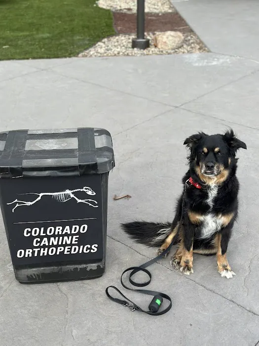 Colorado Canine Orthopedics & Rehab 1