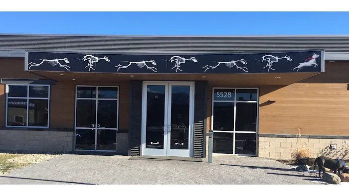 Colorado Canine Orthopedics & Rehab 3