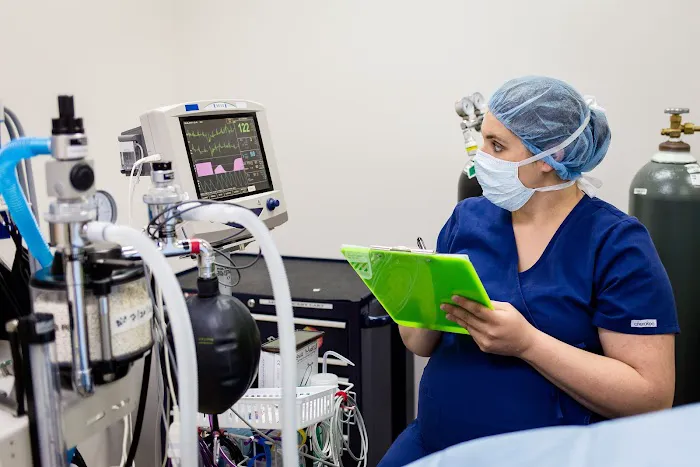 Mountain View Veterinary Surgery 1
