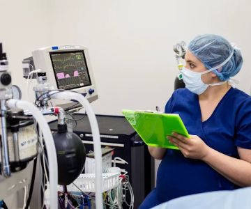 Mountain View Veterinary Surgery