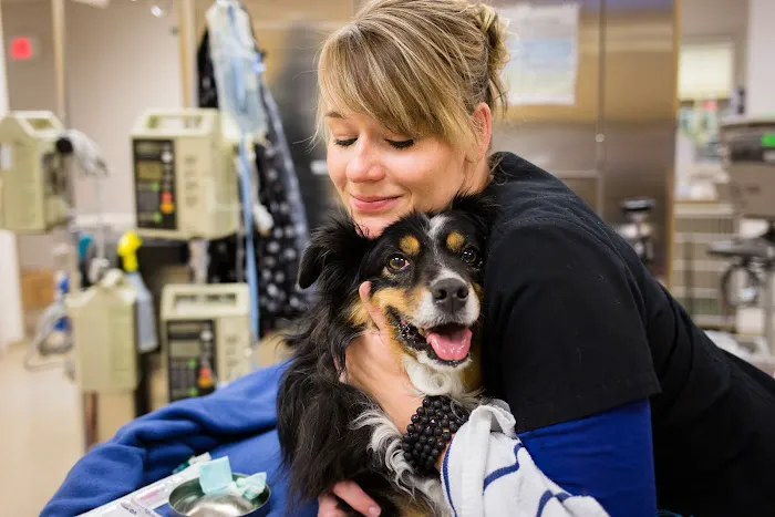 Mountain View Veterinary Surgery 10