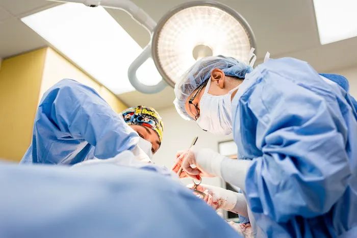 Mountain View Veterinary Surgery 8