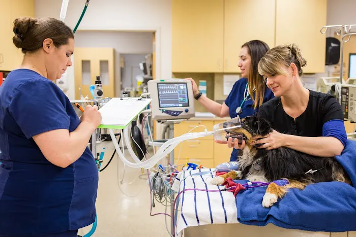 Mountain View Veterinary Surgery 9