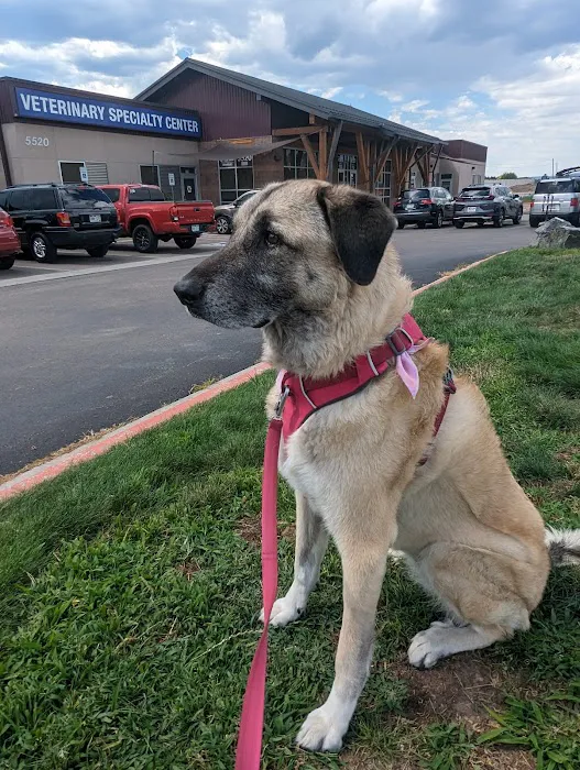 Southern Colorado Veterinary Internal Medicine 7