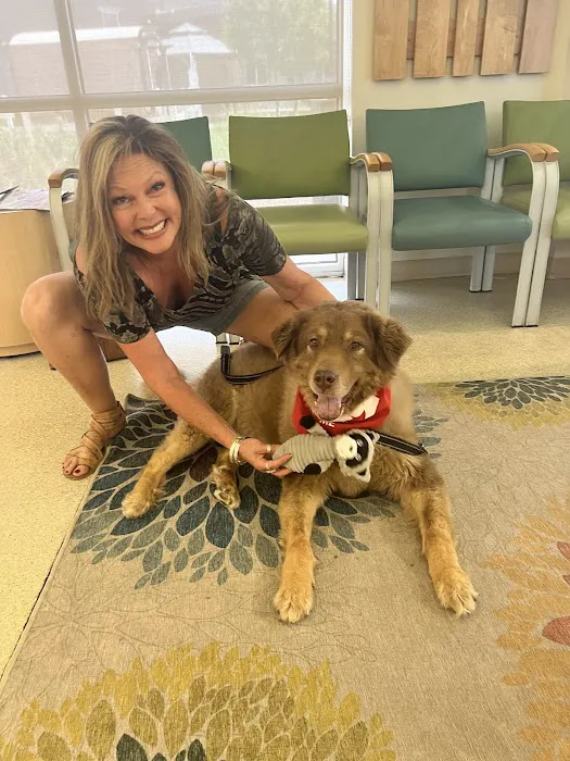 Southern Colorado Veterinary Internal Medicine 1