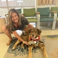 Southern Colorado Veterinary Internal Medicine ico