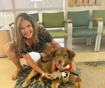 Southern Colorado Veterinary Internal Medicine
