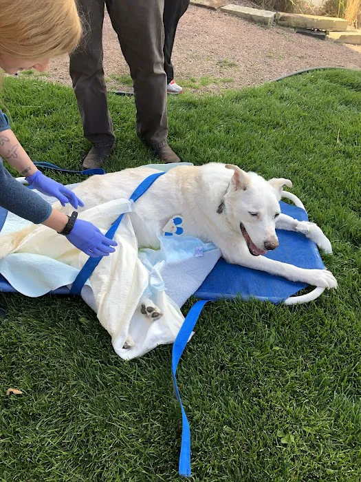 Southern Colorado Veterinary Internal Medicine 3