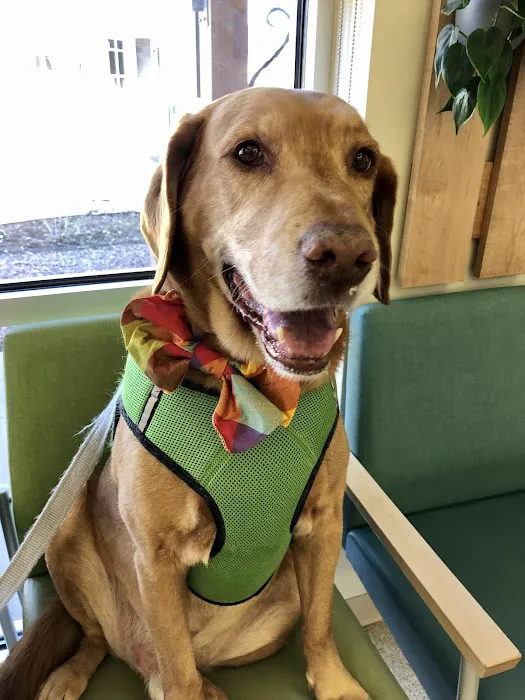 Southern Colorado Veterinary Internal Medicine 2