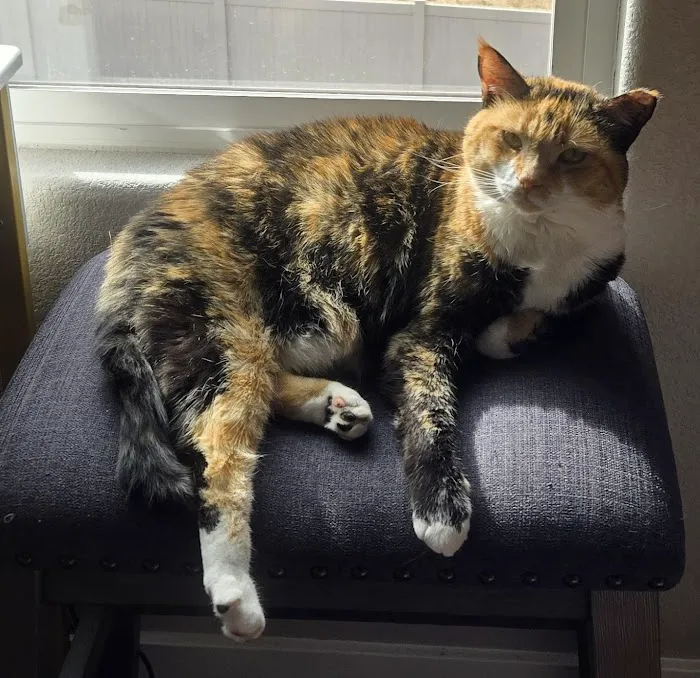 Animal ER Care, LLC 12
