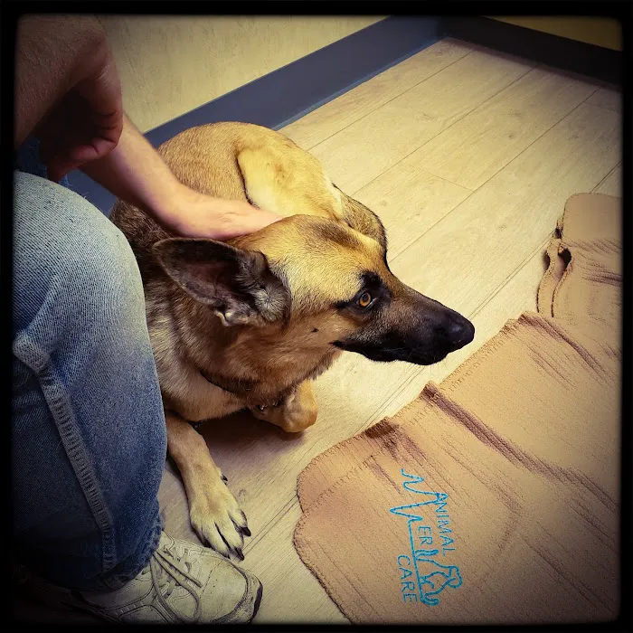 Animal ER Care, LLC 12