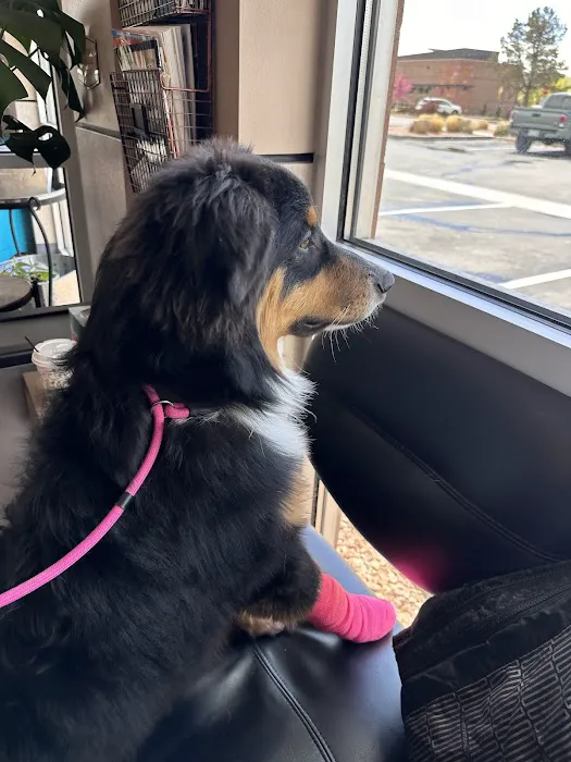 Animal ER Care, LLC 12