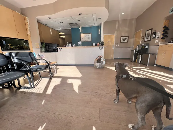 Animal ER Care, LLC 12