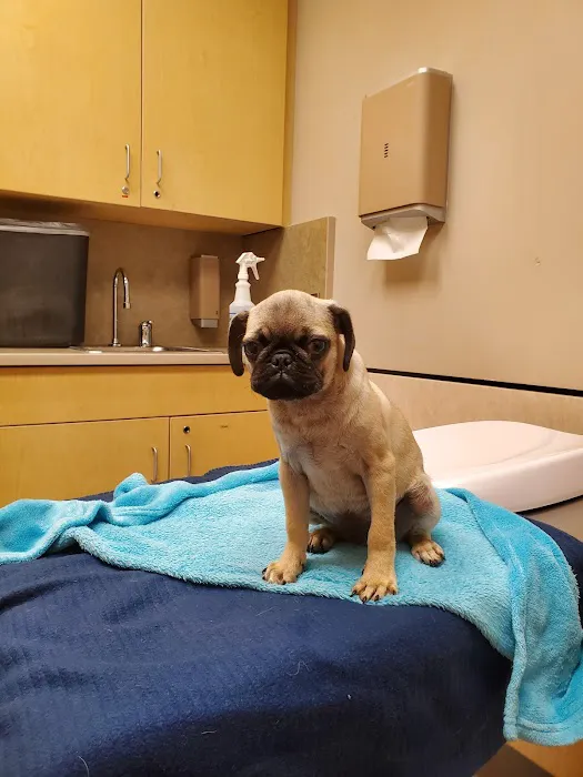 Veterinary Specialty Center 5