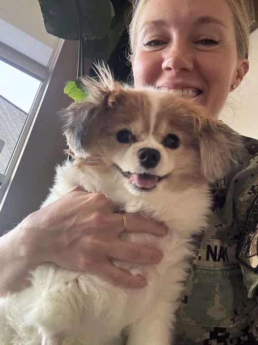 Animal Dental Care & Oral Surgery 3