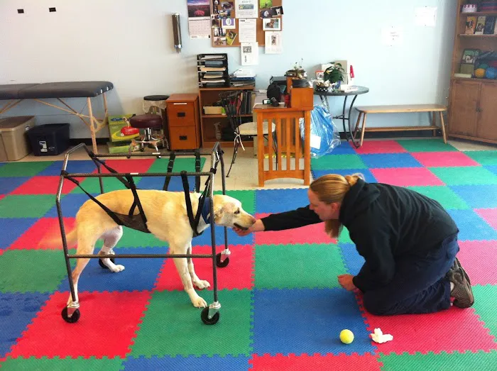Powers Pet Rehabilitation 2