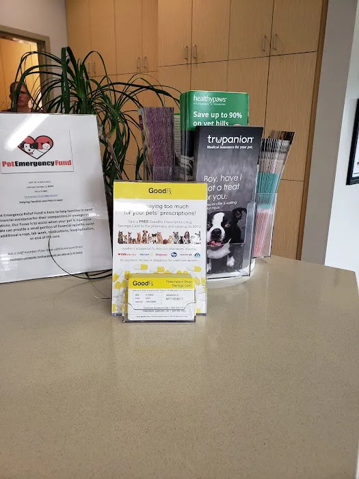 Powers Pet Rehabilitation 1
