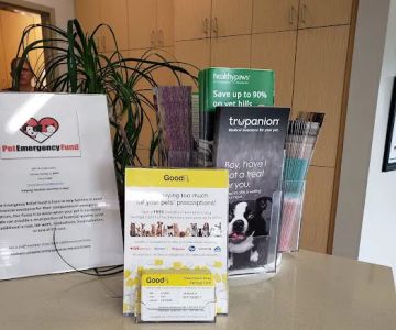 Powers Pet Rehabilitation