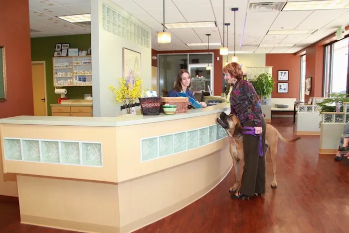 Pets First Animal Hospital 7