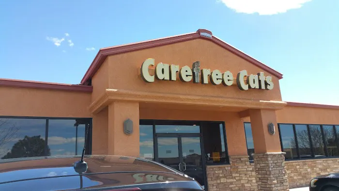 Carefree Cats Veterinary Hospital 2