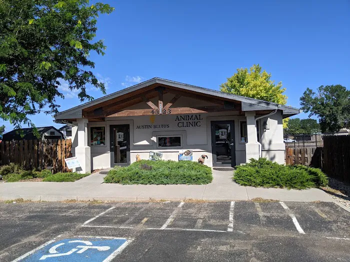 Austin Bluffs Animal Clinic 7