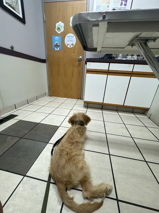Austin Bluffs Animal Clinic 3
