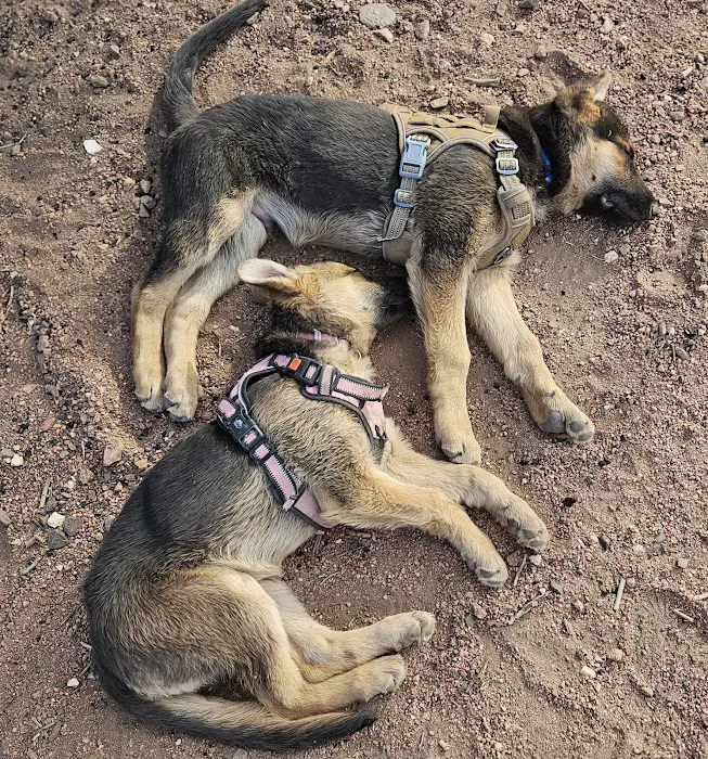 Faithful Friends Animal Hospital 9