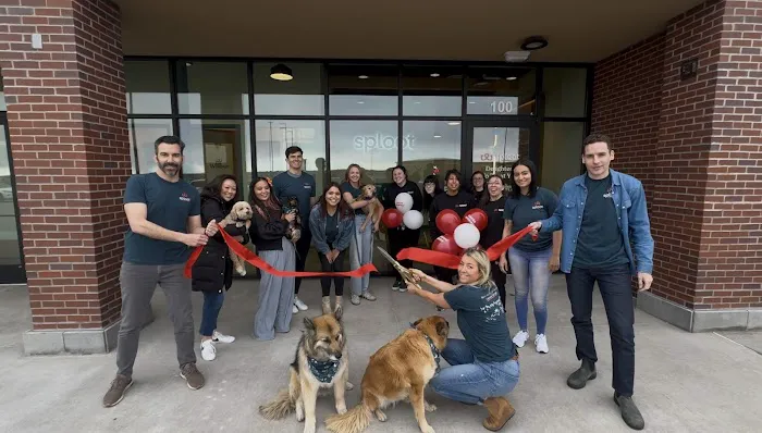 Sploot Veterinary Care - Powers Pointe 3