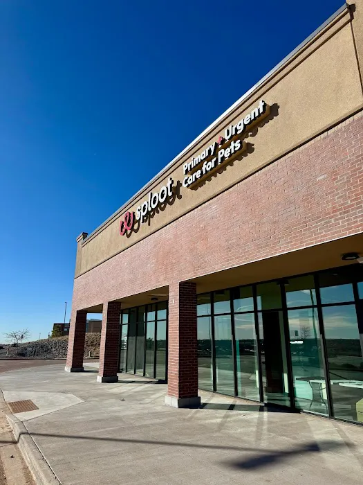 Sploot Veterinary Care - Powers Pointe 2
