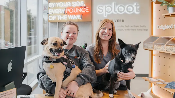 Sploot Veterinary Care - Powers Pointe 10